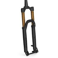 Suspension - Forks